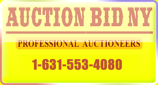 Auction Bid NY